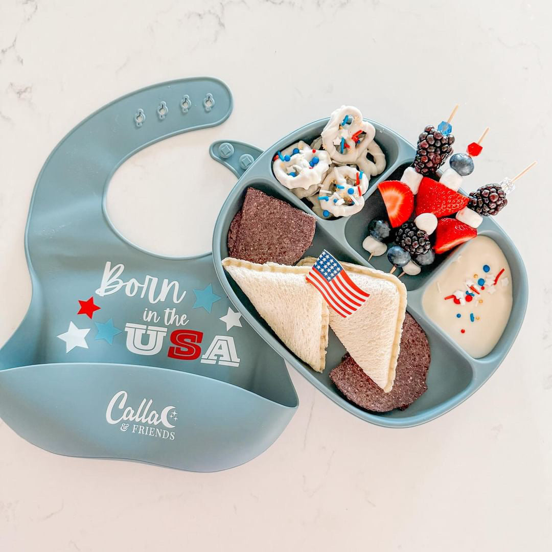 All American Catch All Bib