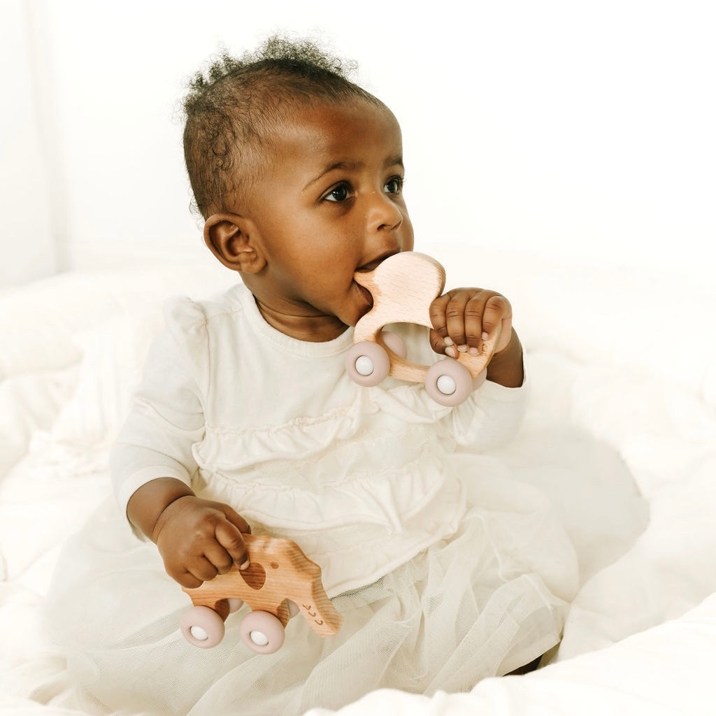 Rollin' Friends - Elephant