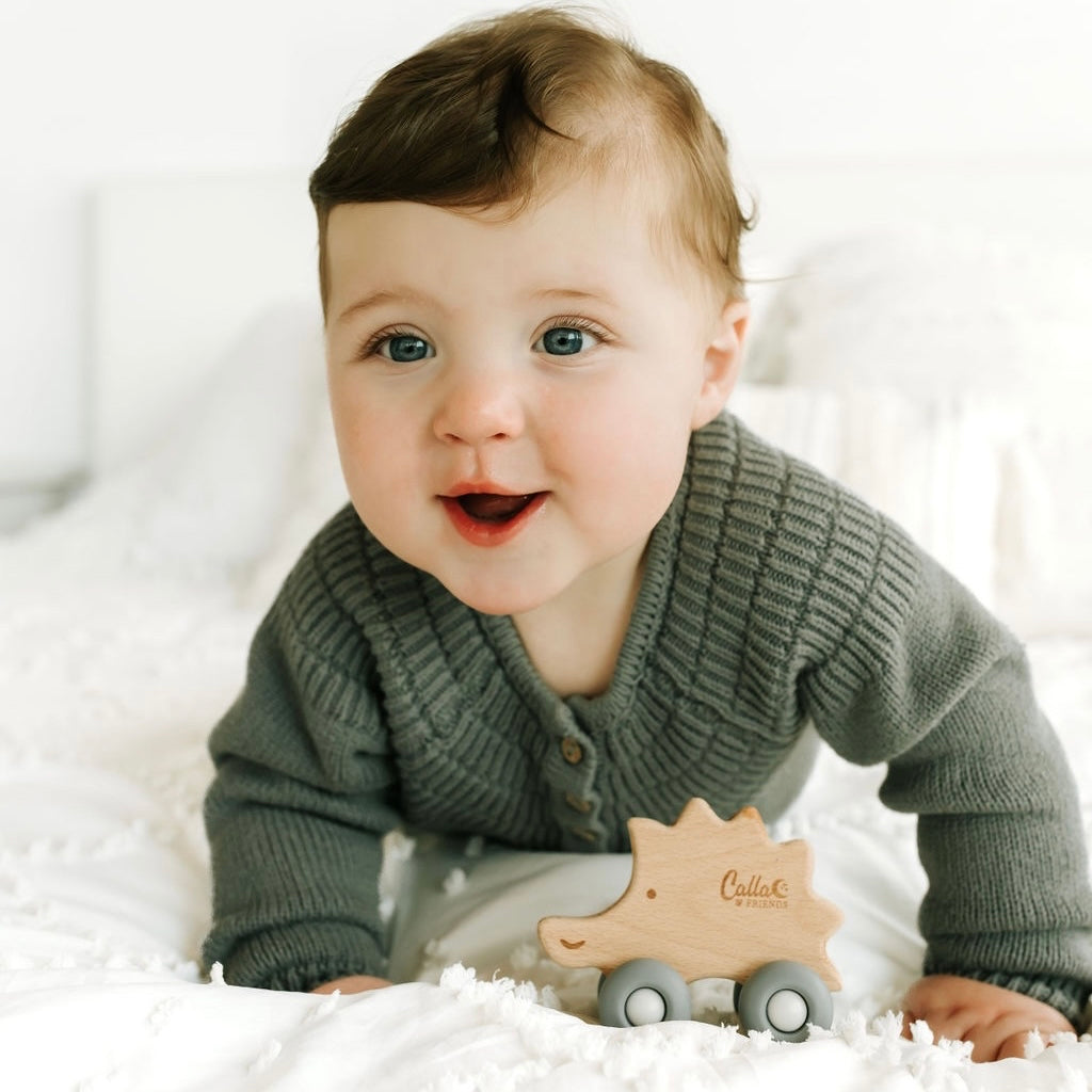 Rollin' Friends - Hedgehog