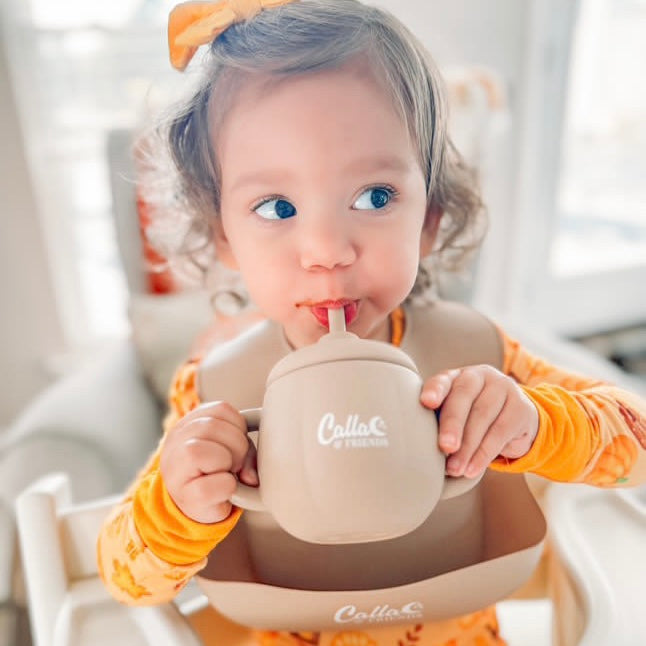 Little Turkey Collection Catch All Bib