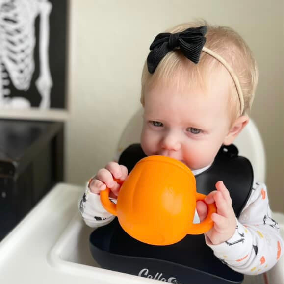 The Pumpkin Patch Spill-Proof Straw Cup