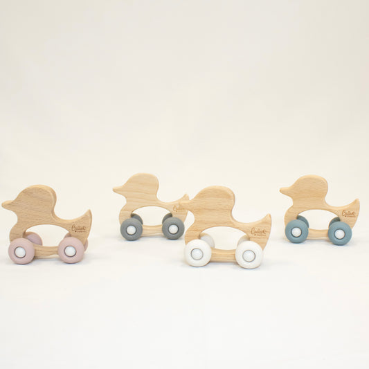 Rollin' Friends - Duck