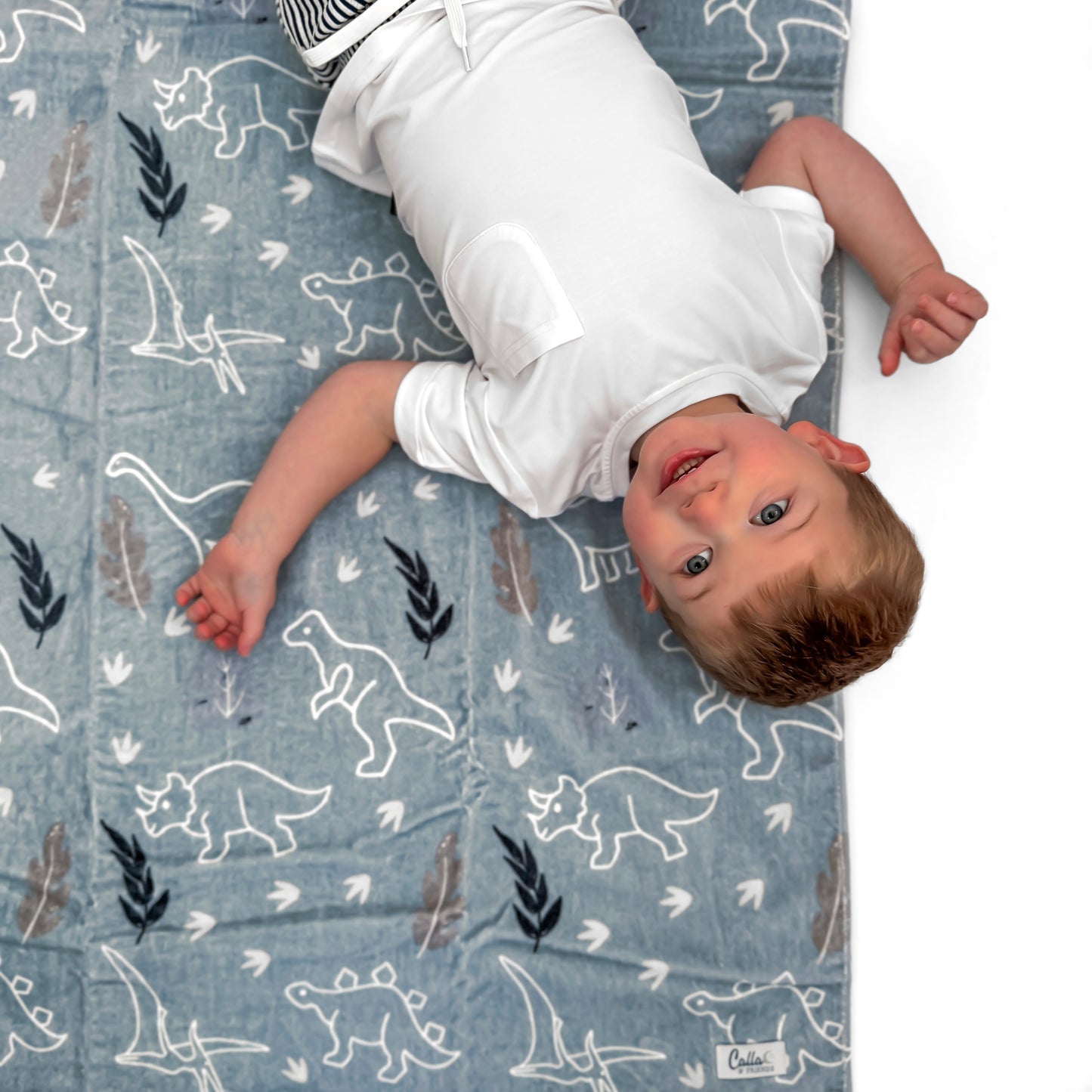 The Kenzie Beach Towel - Dinos