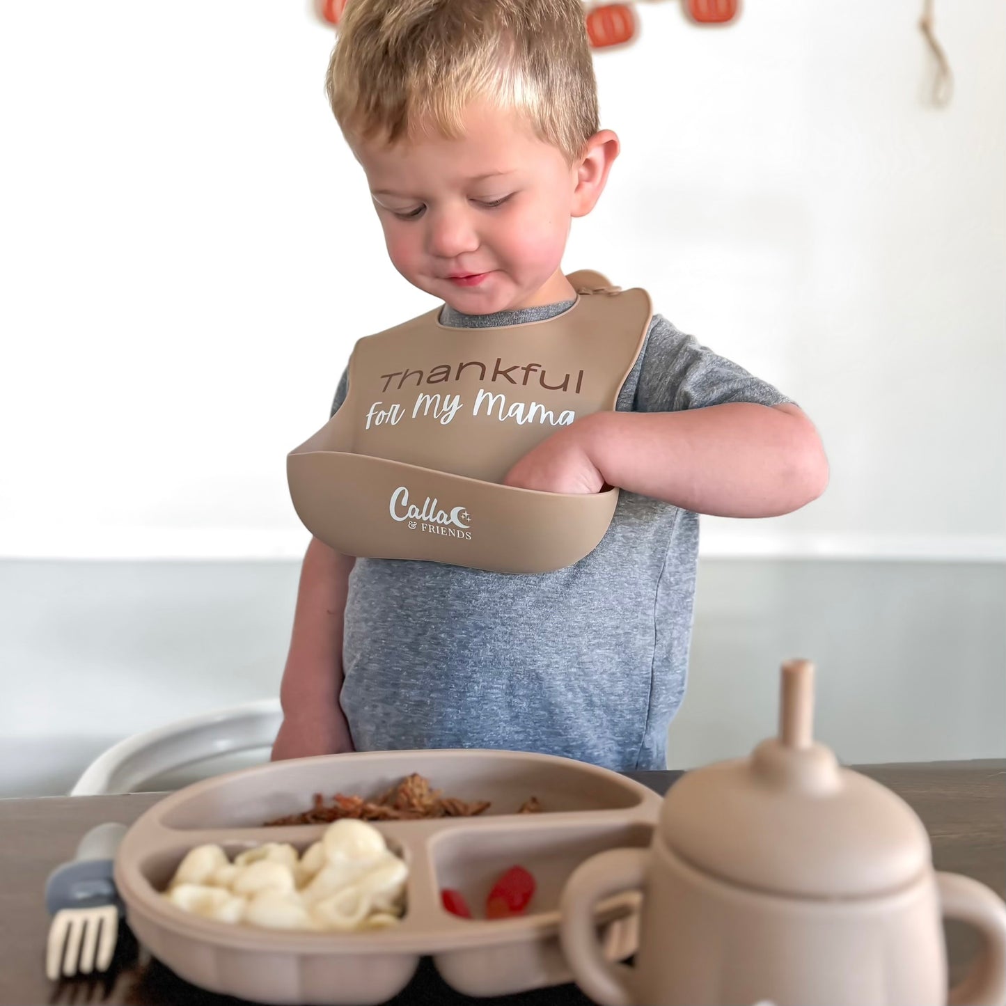 The Pumpkin Patch Suction Plate