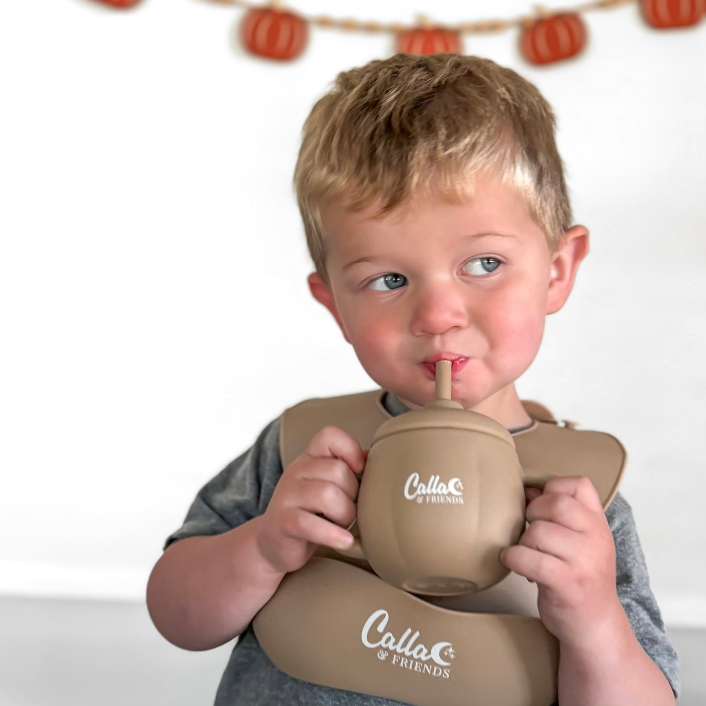 Little Turkey Collection Catch All Bib