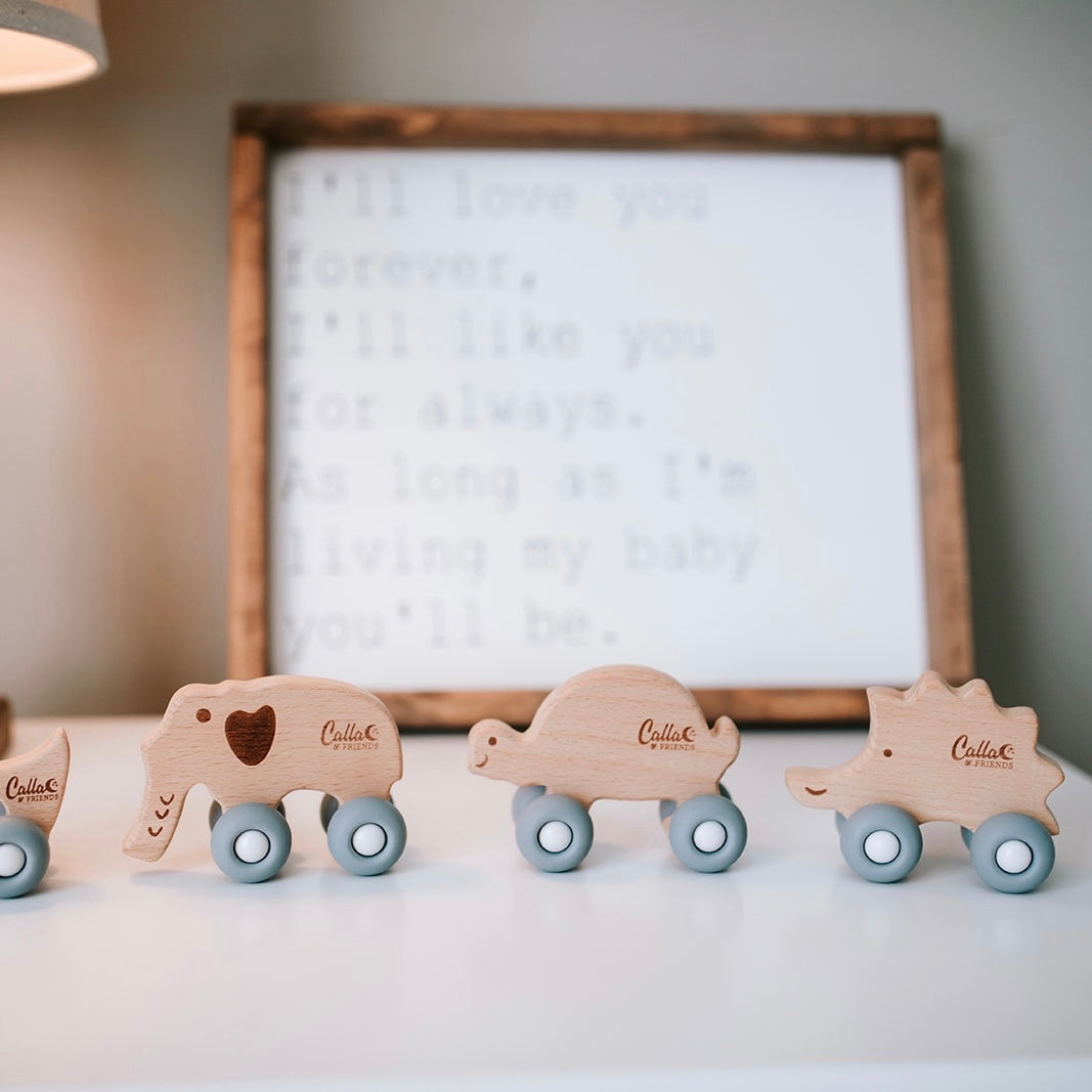 Rollin' Friends - Turtle