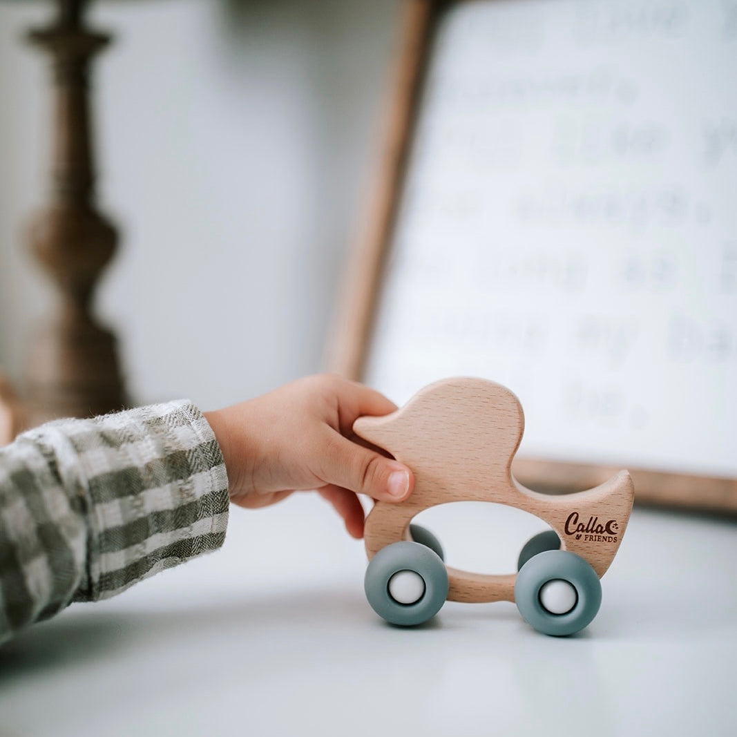 Rollin' Friends - Duck