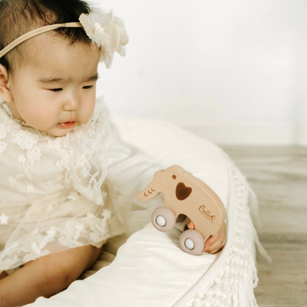 Rollin' Friends - Elephant