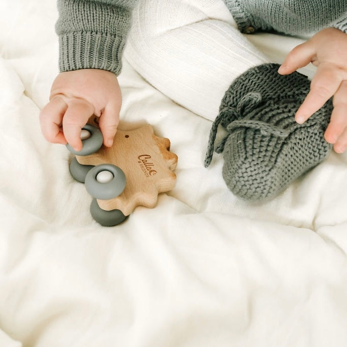 Rollin' Friends - Hedgehog