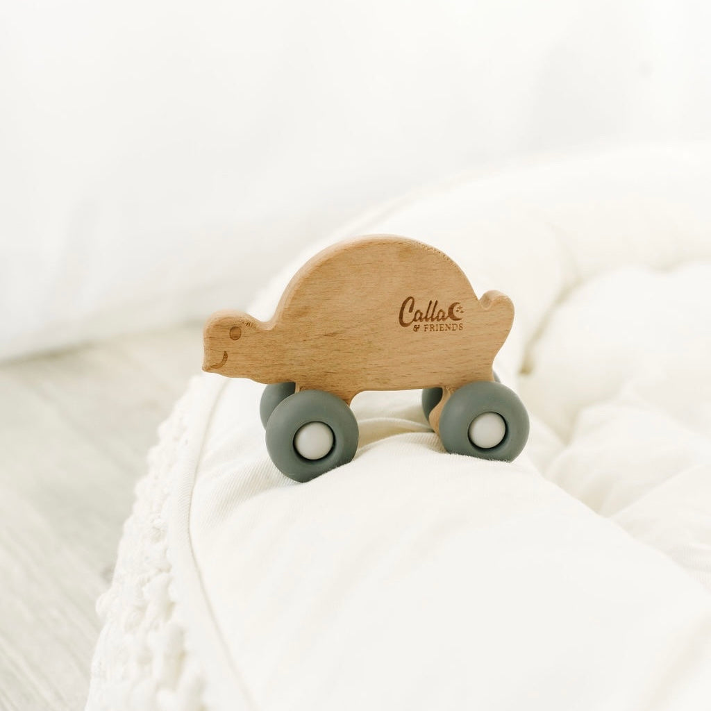 Rollin' Friends - Turtle