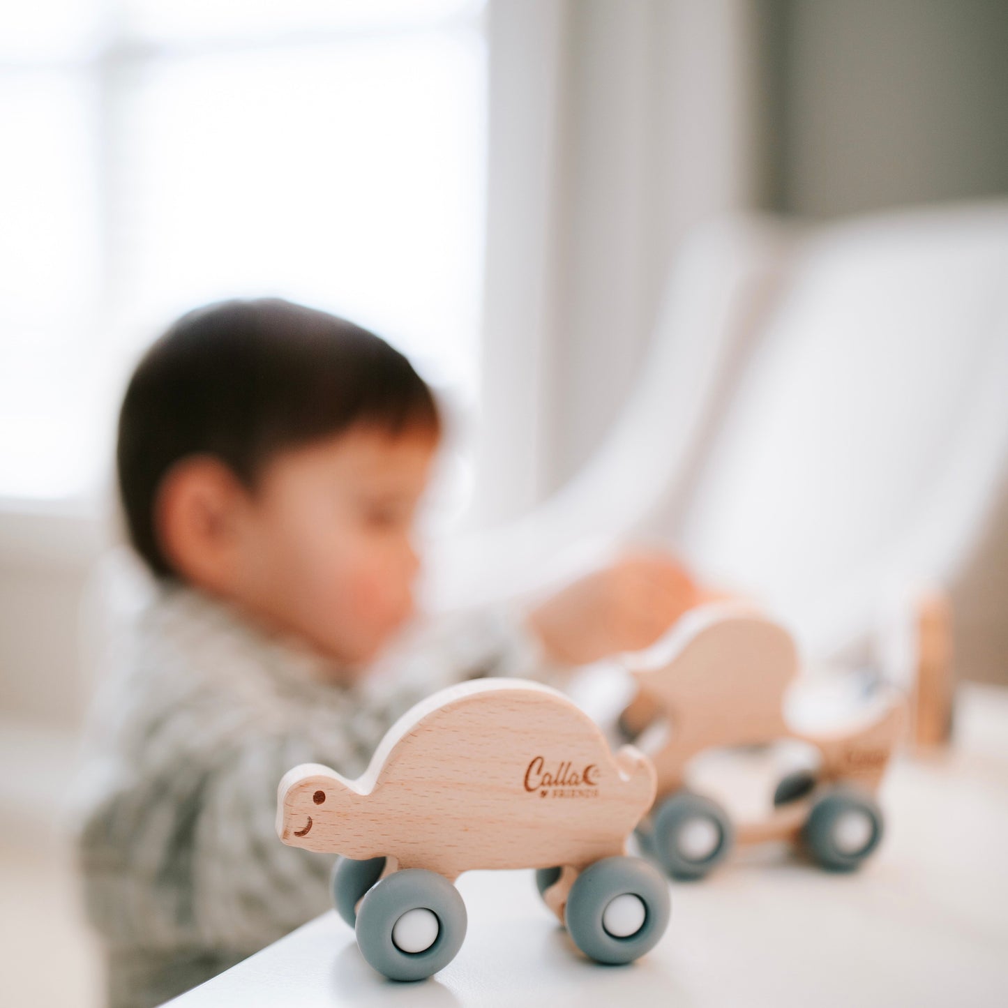 Rollin' Friends - Turtle