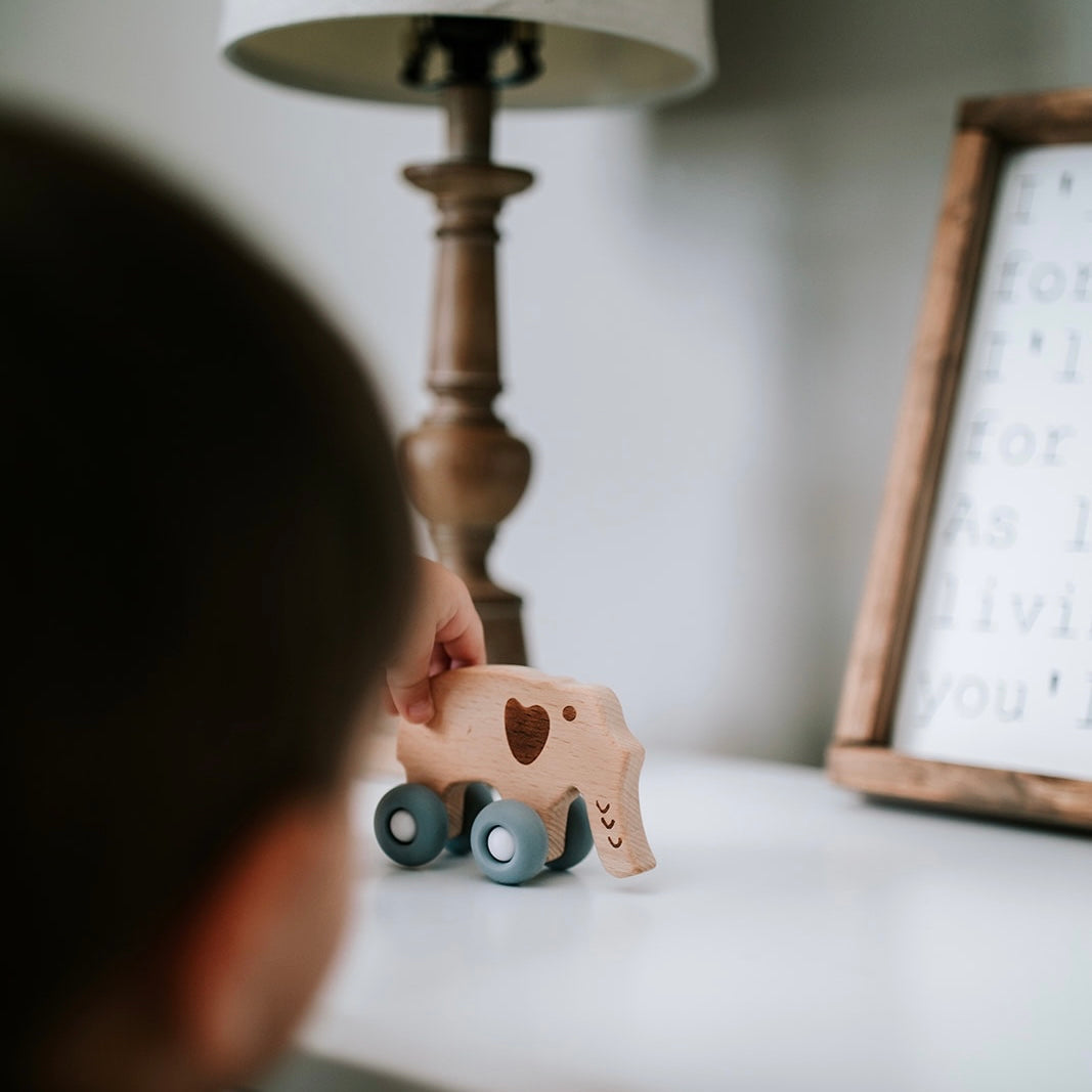 Rollin' Friends - Elephant