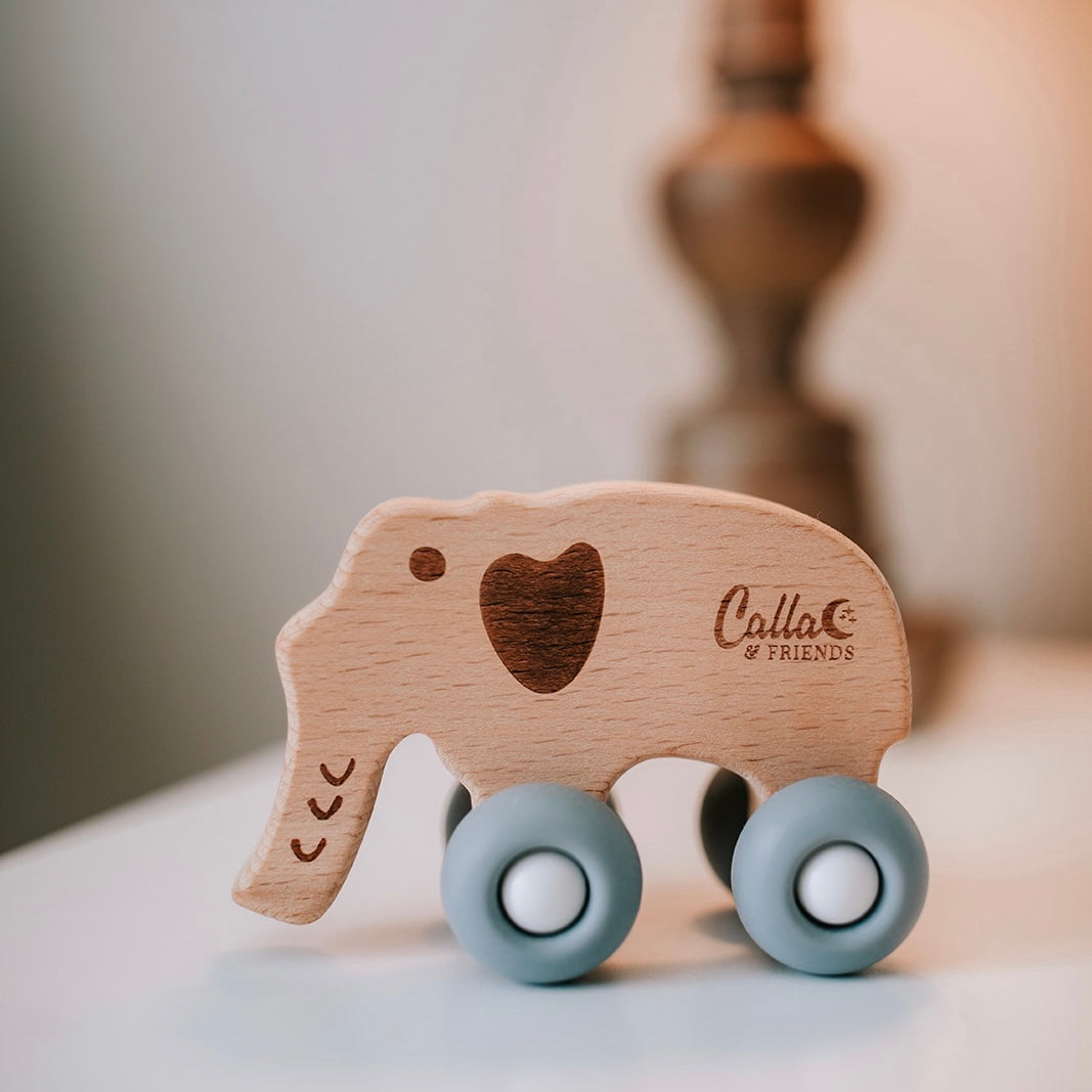 Rollin' Friends - Elephant