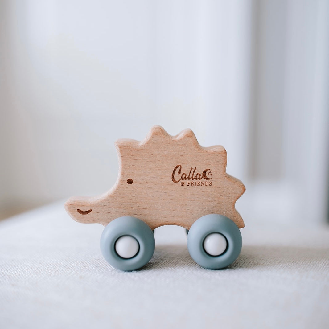 Rollin' Friends - Hedgehog