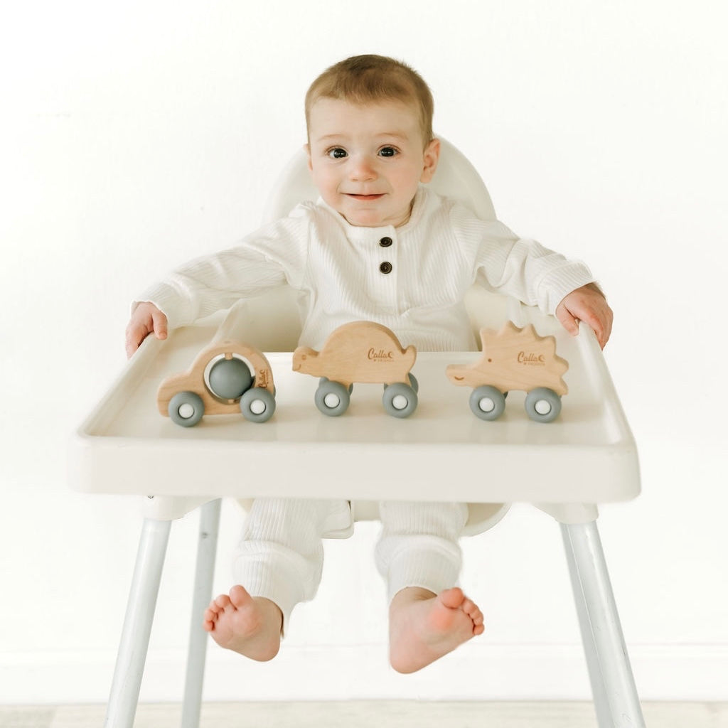 Rollin' Friends - Hedgehog