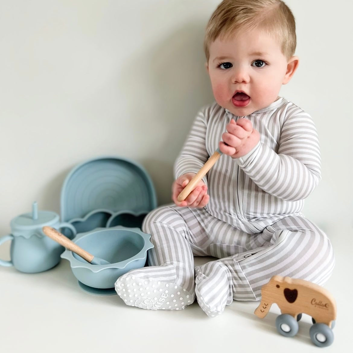 Rollin' Friends - Elephant