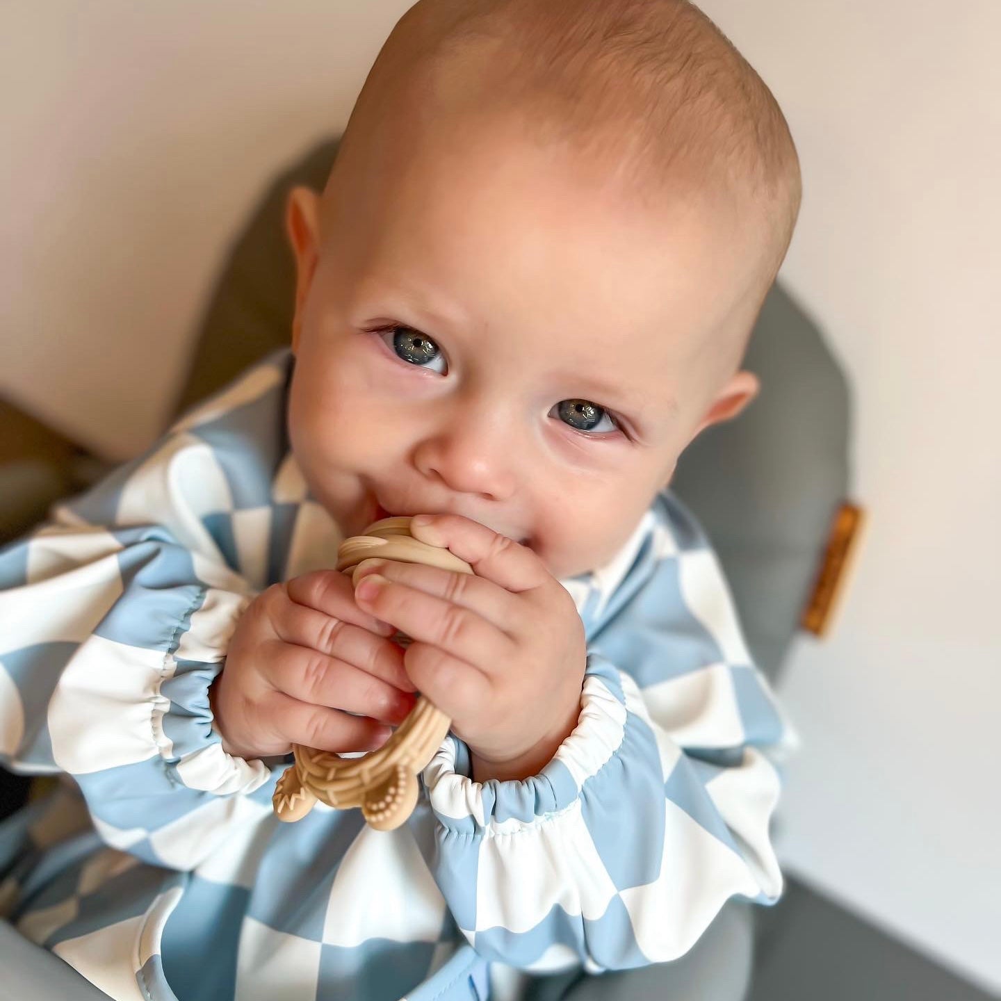 The Nourishing Nibbler Set