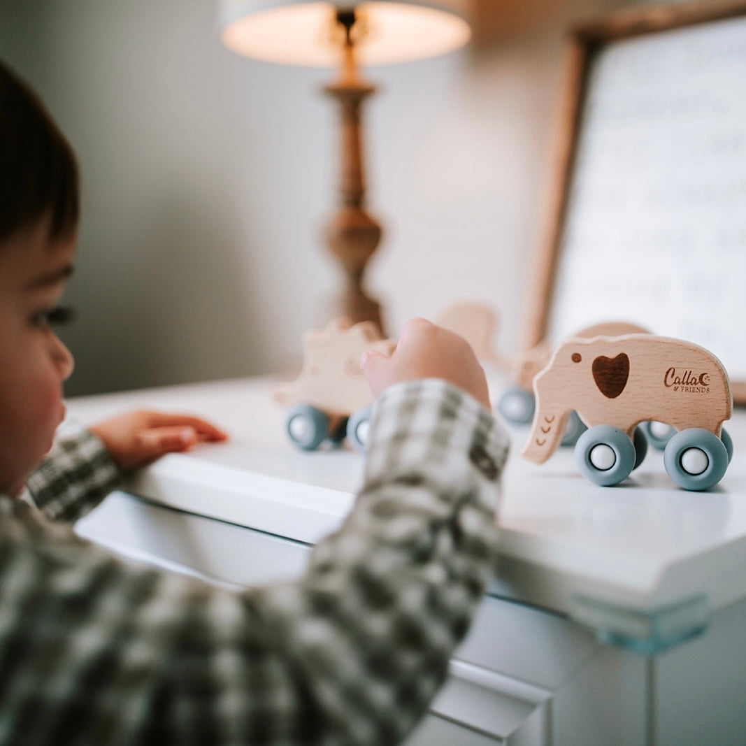 Rollin' Friends - Elephant