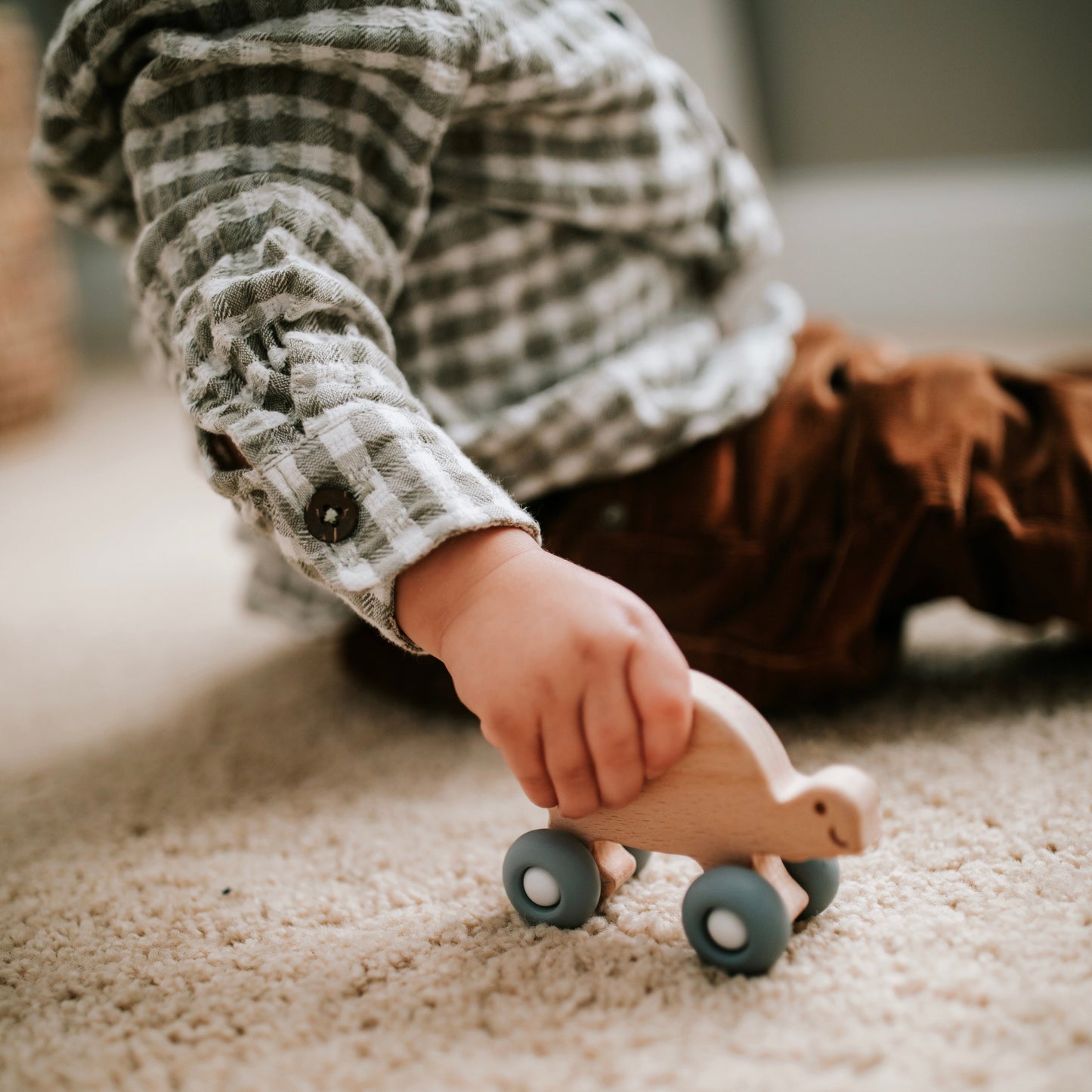 Rollin' Friends - Turtle