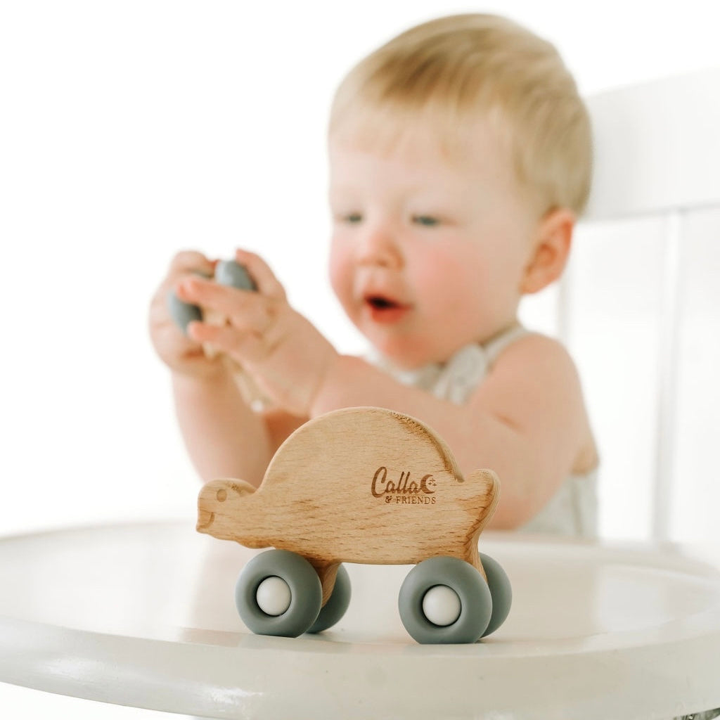 Rollin' Friends - Turtle