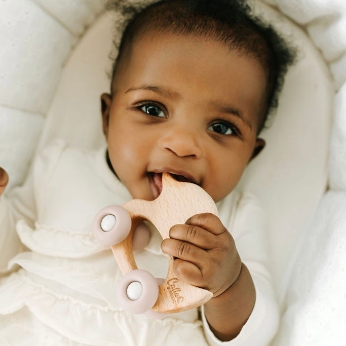 Rollin' Friends - Duck