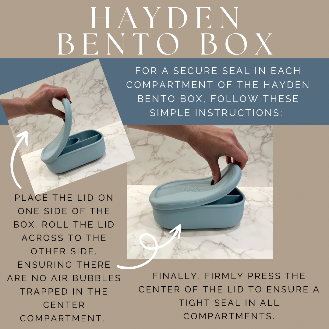 Hayden Bento Box
